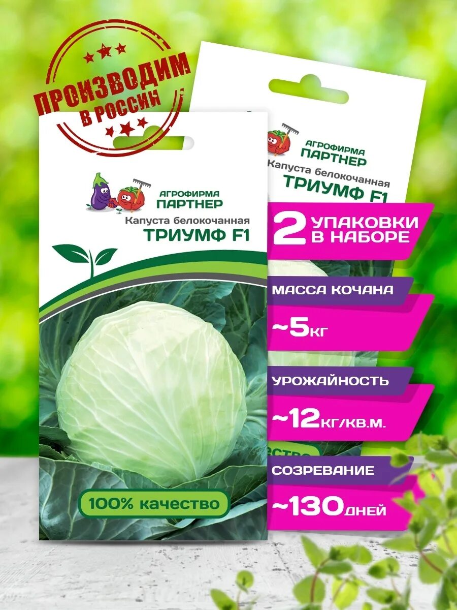 Капуста орион описание сорта фото отзывы садоводов Капуста доминанта описание сорта фото отзывы - MosRosa.ru