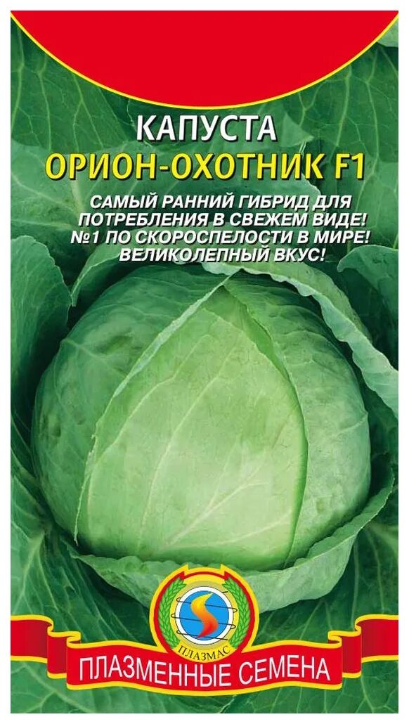 Капуста орион описание сорта фото отзывы садоводов Семена капуста белокочанная Плазмас Орион F1 20366 1 уп. - отзывы покупателей на