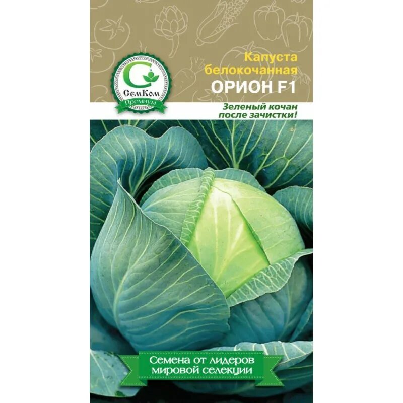 Капуста орион описание сорта фото отзывы садоводов Капуста б/к позд.Орион F1 (Россия) 0,2г СемКом - купить с доставкой почтой в инт