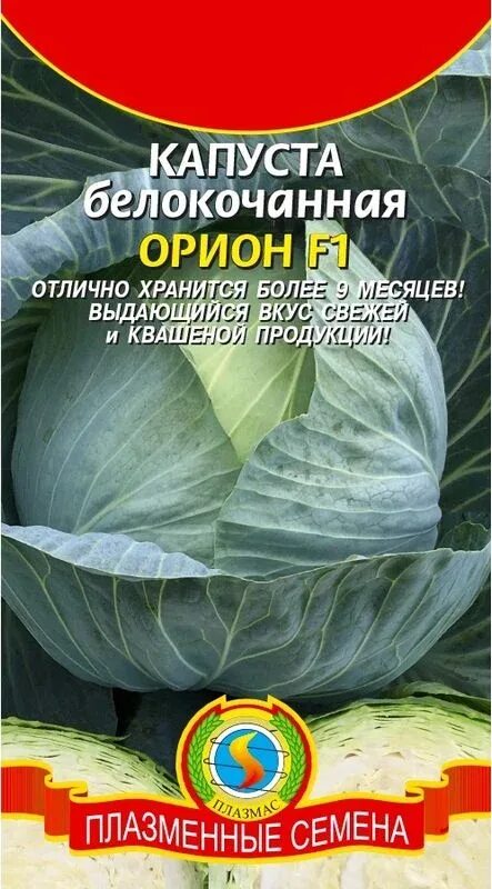 Капуста орион описание сорта фото отзывы садоводов Семена Капуста б/к F1 Орион : описание сорта, фото - купить с доставкой или почт