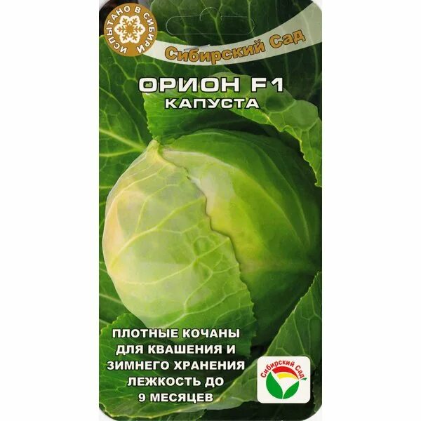 Капуста орион описание сорта фото отзывы садоводов Капуста "Орион F1" - Семена ВК Омск, Купить Семена в Омске