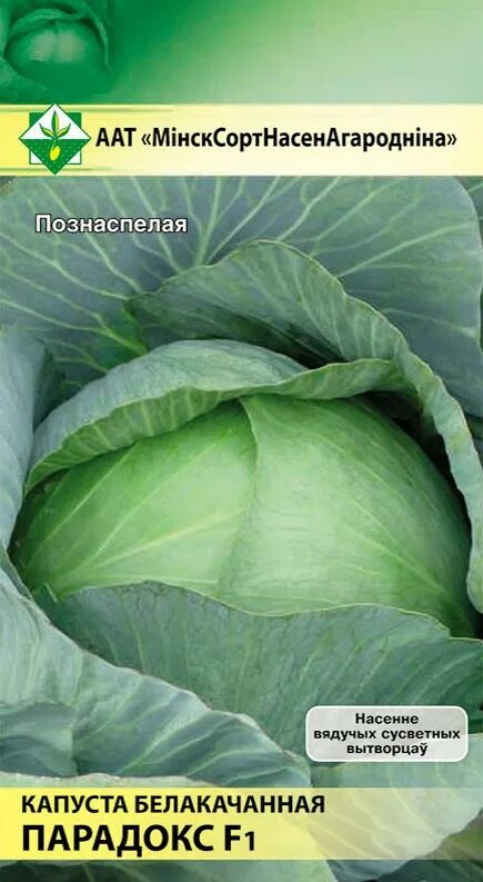 Капуста парадокс описание сорта фото отзывы Капуста пассат описание сорта LkbAuto.ru