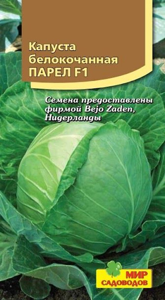 Капуста парел f1 описание сорта фото отзывы Капуста Мир Садоводов Капуста белокочанная "Парел F1" - купить по выгодным ценам