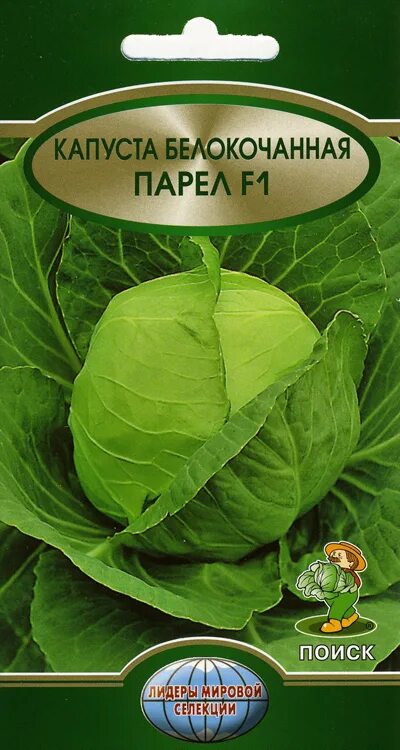 Капуста парел описание фото Капуста белокочанная Парел F1 25шт. (Поиск) - купить оптом и в розницу
