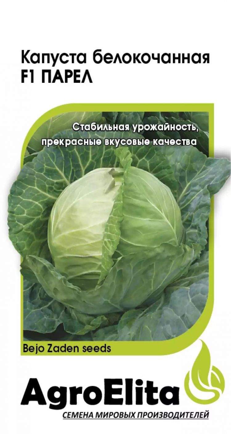 Капуста парел описание фото Купить семена Капуста б/к Парел F1 (аэ) 10шт (bejo) с доставкой курьером и почто