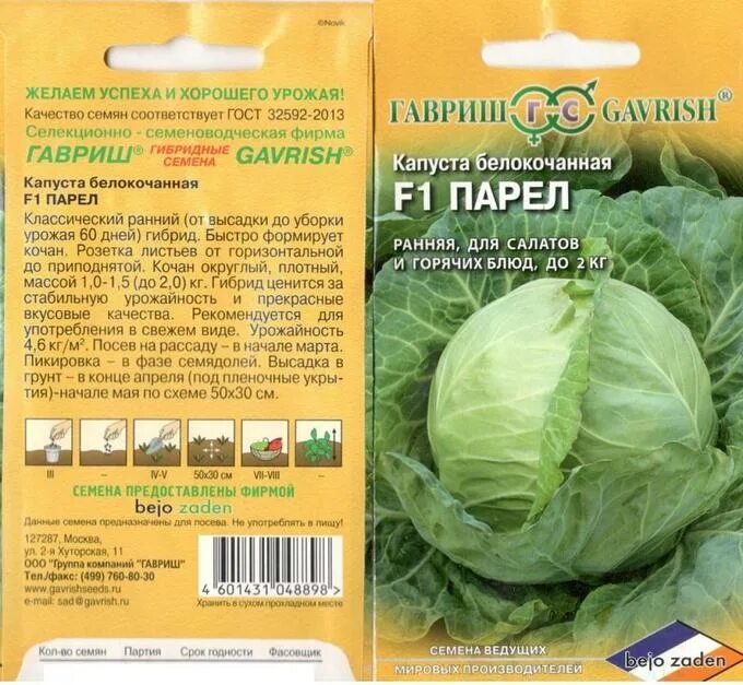 Капуста парел описание сорта фото Капуста Парел F1 б/к 10 шт Гавриш Капуста. Семена овощей