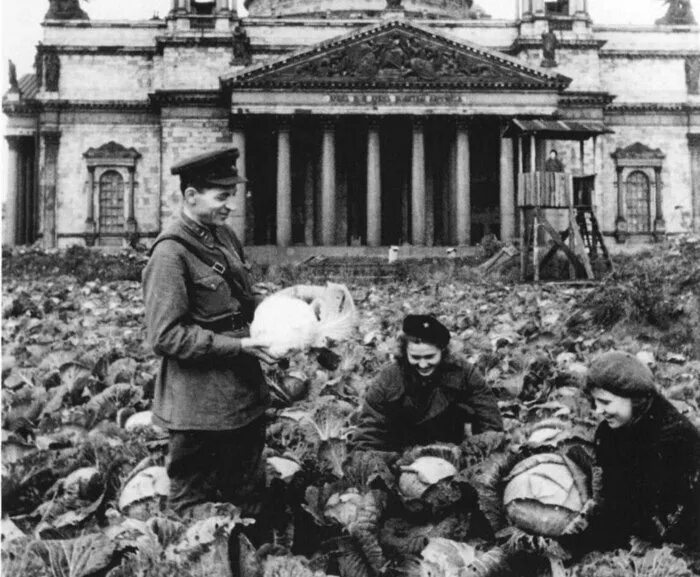 Капуста перед исаакиевским собором в блокаду фото Малоизвестные факты о блокаде Ленинграда Популярная наука Дзен
