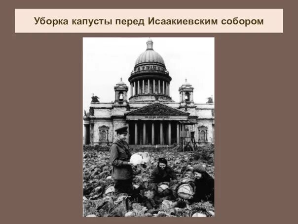 Капуста перед исаакиевским собором в блокаду фото Исаакиевская площадь во время блокады