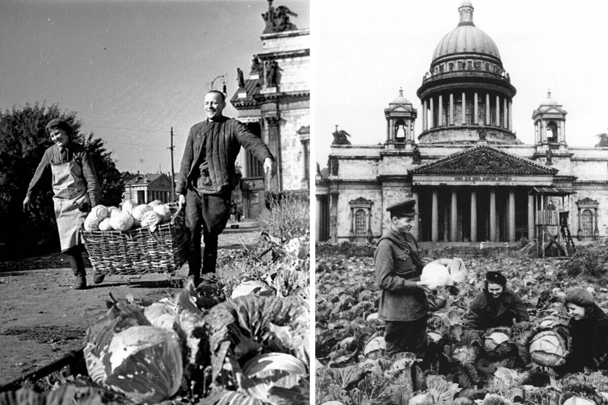 Капуста перед исаакиевским собором в блокаду фото Книжная выставка "По следам великого мужества". 80-летию полного особождения Лен