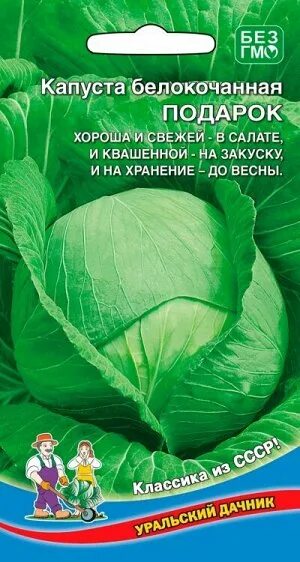 Капуста подарок описание фото Купить капуста подарок