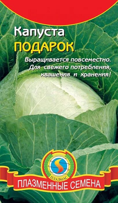 Капуста подарок описание фото Капуста Белокочанная Подарок - купить семена в интернет-магазине Лафа с доставко