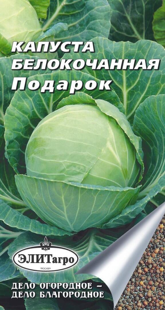 Капуста подарок описание отзывы фото Капуста Элитагро Капуста белокочанная Подарок (0,5 г), 2 пакета - купить по выго