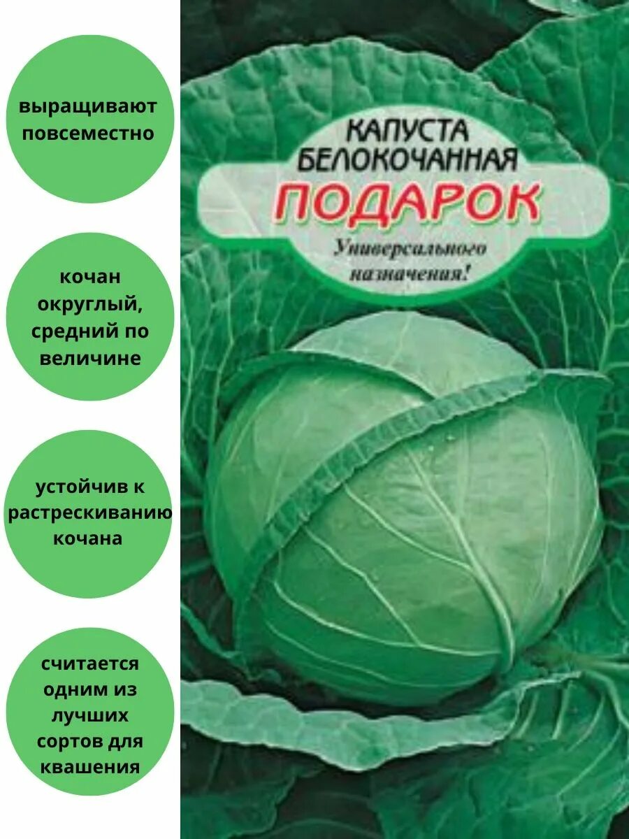 Капуста подарок описание отзывы фото Капуста Подарок белокочанная Сибирские сортовые семена 82603559 купить за 58 ₽ в