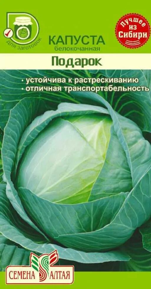 Капуста подарок описание отзывы фото Капуста Подарок: характеристика и описание среднепозднего сорта с фото