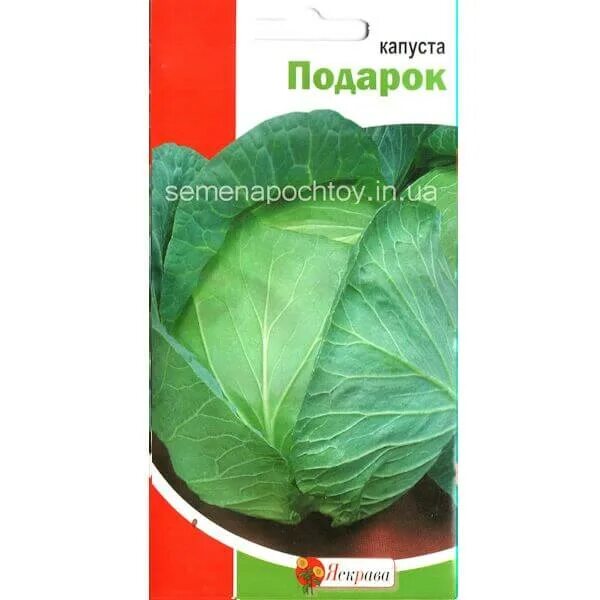 Капуста подарок описание сорта фото Капуста ПОДАРОК ТМ ЯСКРАВА КРУПНОПЛОДНАЯ 0,5 граммов