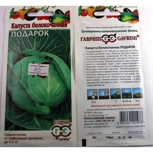 Капуста подарок описание сорта фото отзывы садоводов Капуста подарок описание сорта фото отзывы Фитостудия-63.ру