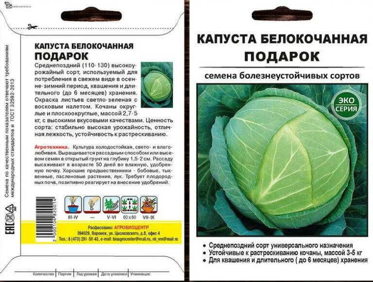 Капуста поздняя описание сорта фото Капуста "Подарок": описание сорта, фото, отзывы