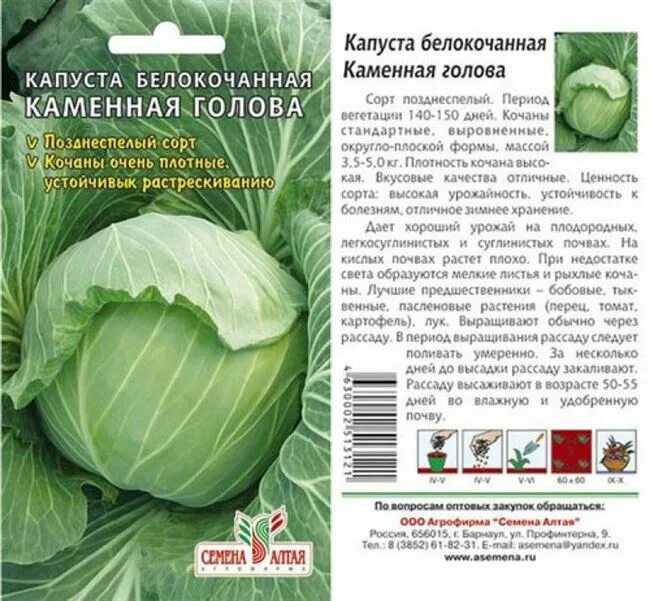 Капуста поздняя описание сорта фото отзывы Капуста цветная Белкорт F1, 10 шт. Голландская линия