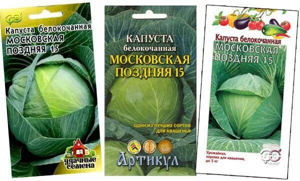 Капуста поздняя описание сорта фото отзывы Московская поздняя капуста описание отзывы и фото Фитостудия-63.ру