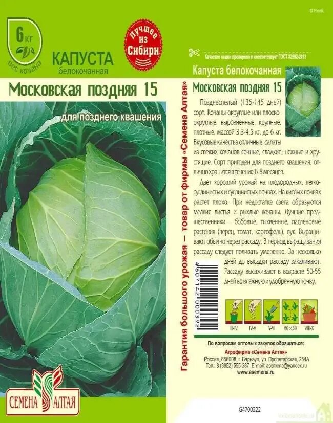 Капуста поздняя описание сорта фото отзывы Малахит - сорт растения Капуста белокочанная