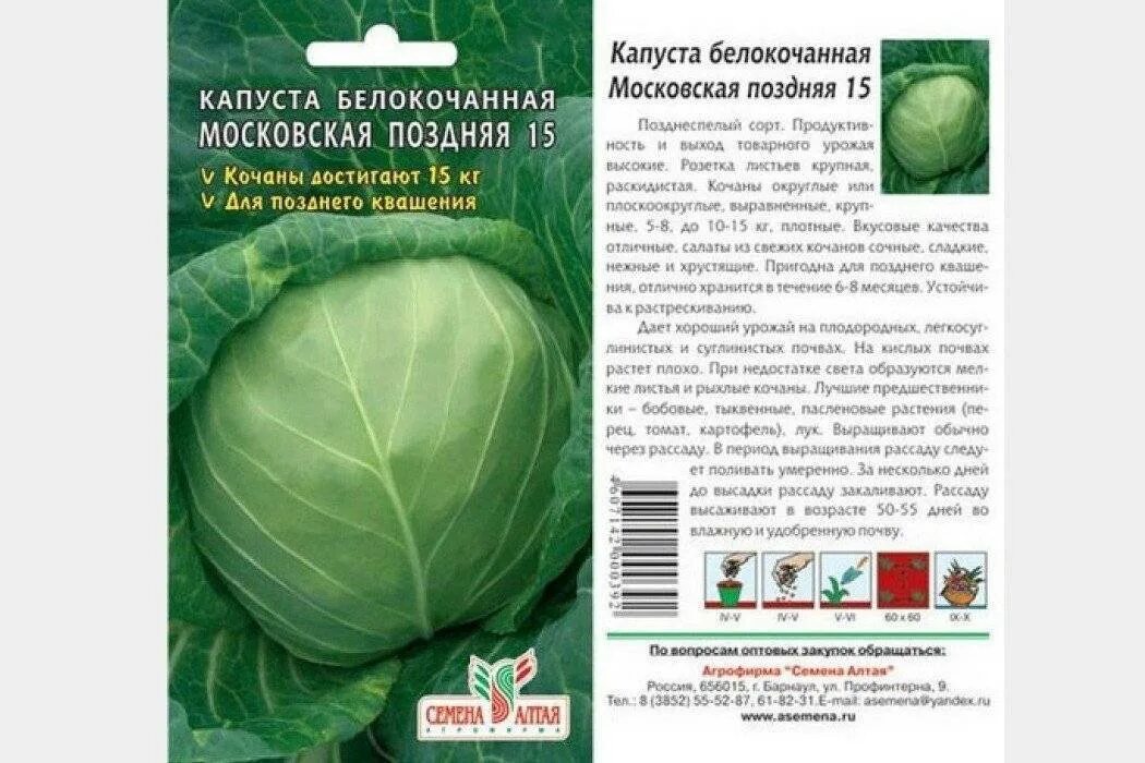 Капуста поздняя описание сорта фото отзывы Капуста московская поздняя описание сорта отзывы: найдено 86 изображений