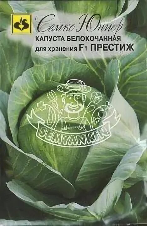 Капуста престиж фото Капуста престиж f1 - посадка и уход