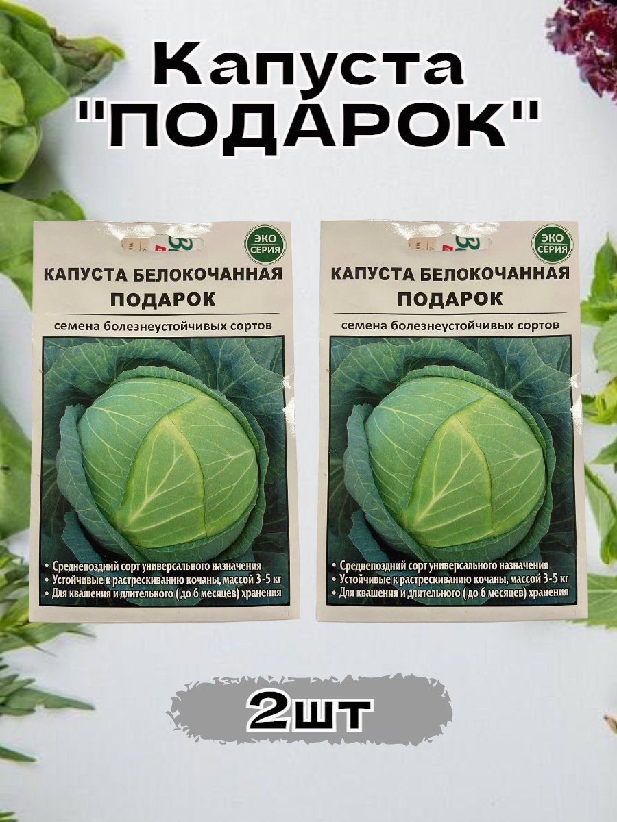 Капуста престиж описание сорта фото отзывы Морковь, Петрушка Овощи и зелень - купить по выгодным ценам в интернет-магазине 