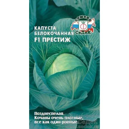 Капуста престиж описание сорта фото отзывы Капуста б/к Престиж F1 Седек Седек купить от 30 рублей в Санкт-Петербурге