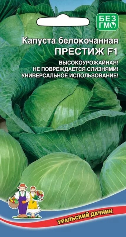 Капуста престиж описание сорта фото отзывы садоводов Семена Капуста б/к Престиж F1: описание сорта, фото - купить с доставкой или поч