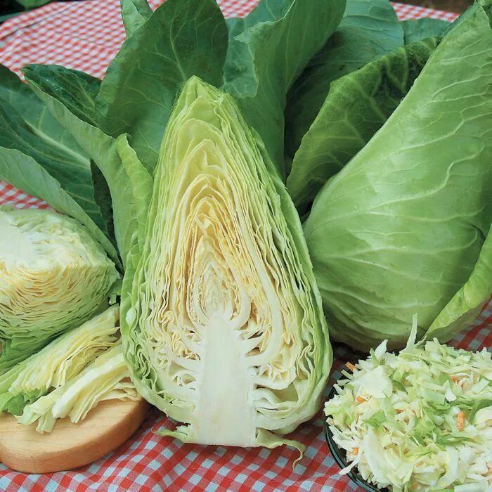 Капуста продолговатая название фото Caraflex Cabbage (With images) Cabbage