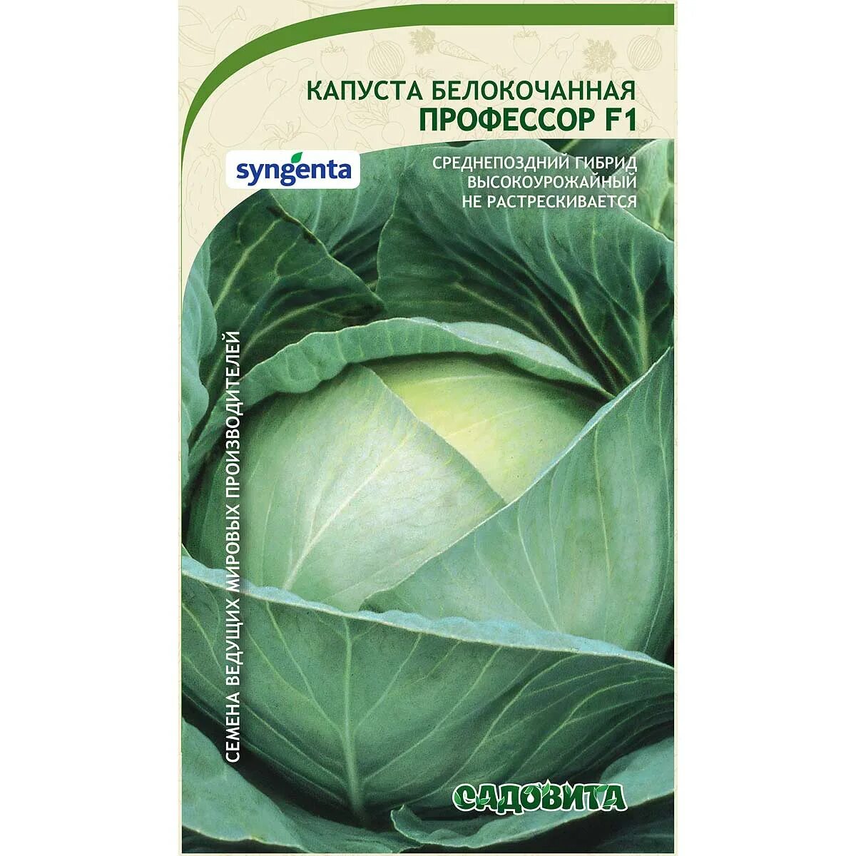Капуста профессор описание сорта фото отзывы Купить семена Капуста Профессор белокочанная F1 10 шт Syngenta/Садовита Ц оптом 
