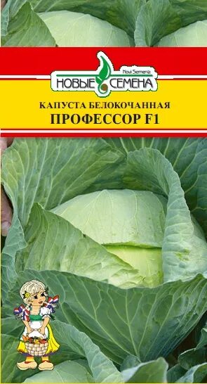 Капуста профессор описание сорта отзывы садоводов фото Капуста бк Профессор 0,05г (Syngenta / Голландия)