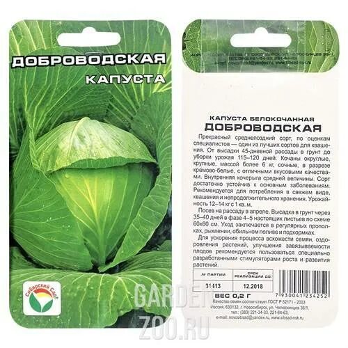 Капуста профессор описание сорта отзывы садоводов фото Капуста Доброводская: фото, отзывы