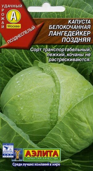 Капуста простоквашино описание сорта фото отзывы Капуста б/к Лангедейкер поздняя