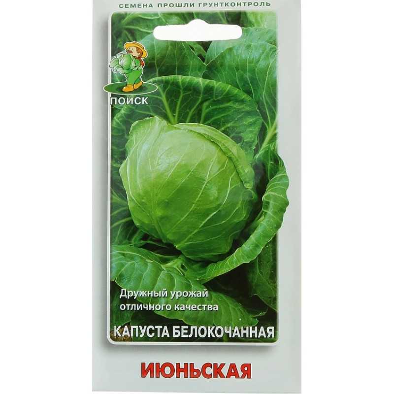 Капуста простоквашино описание сорта фото отзывы Сорт капусты июньская отзывы