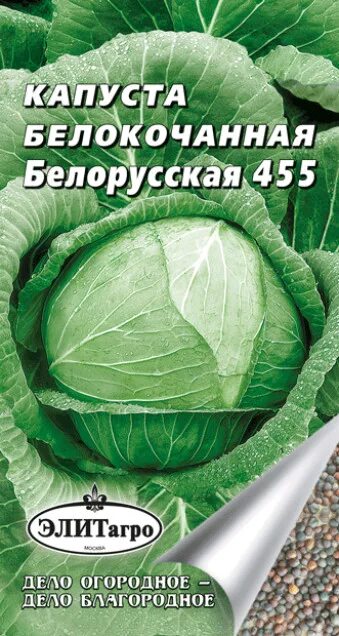 Капуста простоквашино описание сорта фото отзывы Семена капуста белокочанная Элитагро Белорусская 455 1 уп. - характеристики на М