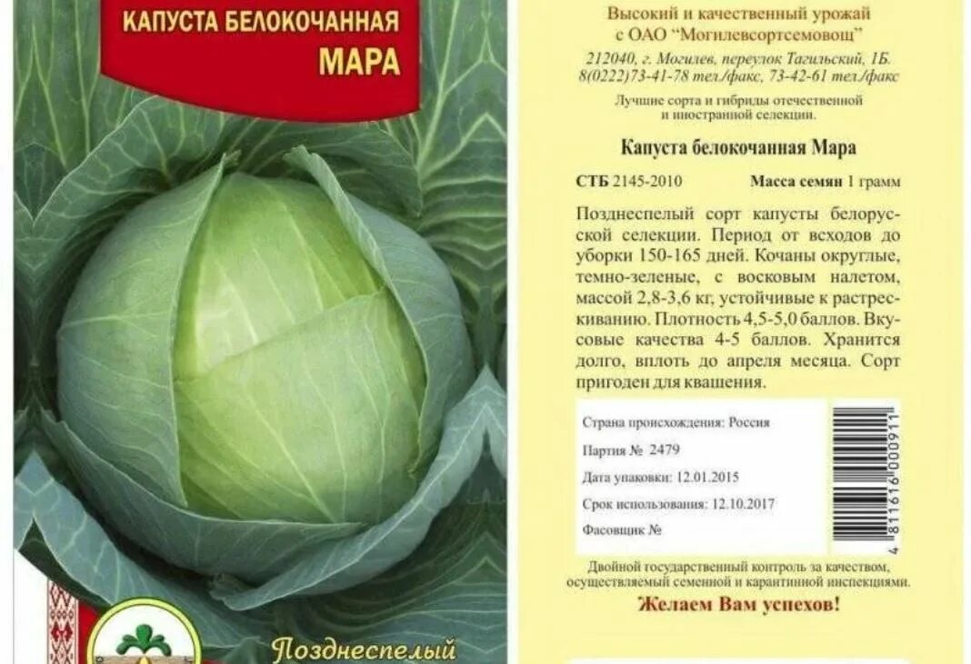 Капуста простоквашино описание сорта фото отзывы Какую выбрать капусту для квашения eCookie.ru