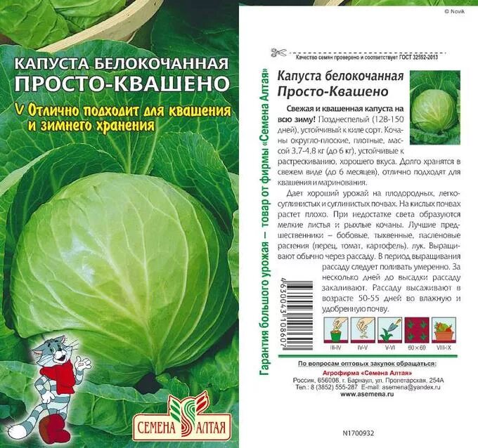 Капуста простоквашино описание сорта фото отзывы Капуста Просто-Квашено/Сем Алт/цп 0,3 гр. КАБАЧОК, КАПУСТА, КУКУРУЗА