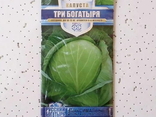 Капуста простоквашино описание сорта фото отзывы Лучшие сорта капусты с фото и описанием Сад и огород