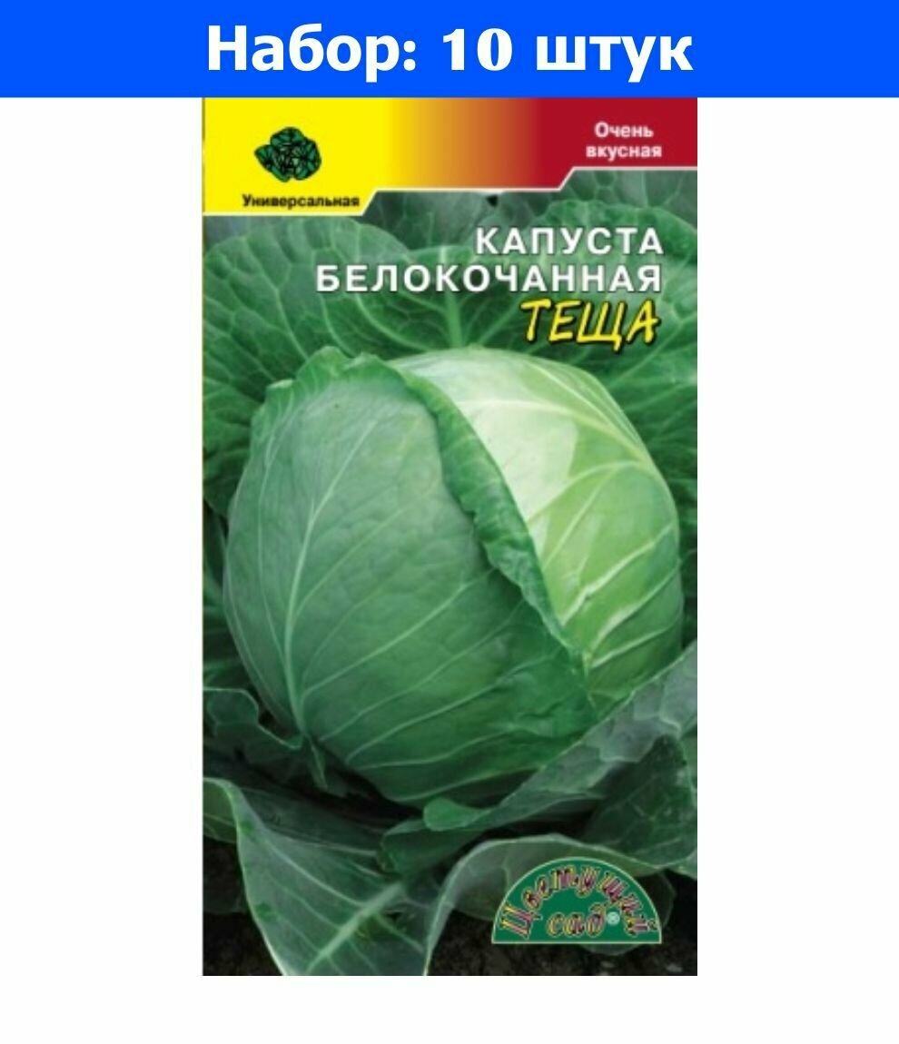 Капуста пруктор описание сорта фото отзывы Капуста б/к Теща 0.5г Ср (Цвет сад) - 10 пачек семян - купить в интернет-магазин