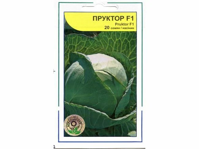 Капуста пруктор описание сорта фото отзывы Характеристика капусты сорта Пруктор ф1