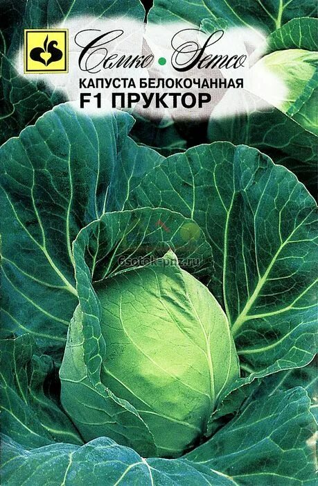 Капуста пруктор описание сорта фото отзывы Семена капуста б/к пруктор f1 семко ц купить в Пензе и с доставкой по России - И