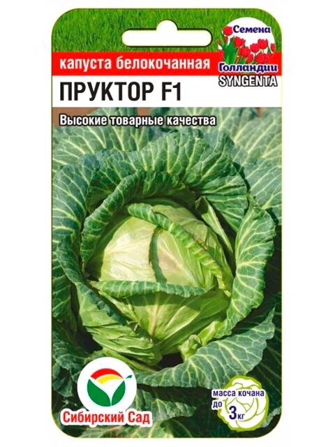 Капуста пруктор описание сорта фото отзывы Капуста Musson 533 - купить по выгодным ценам в интернет-магазине OZON (93711187