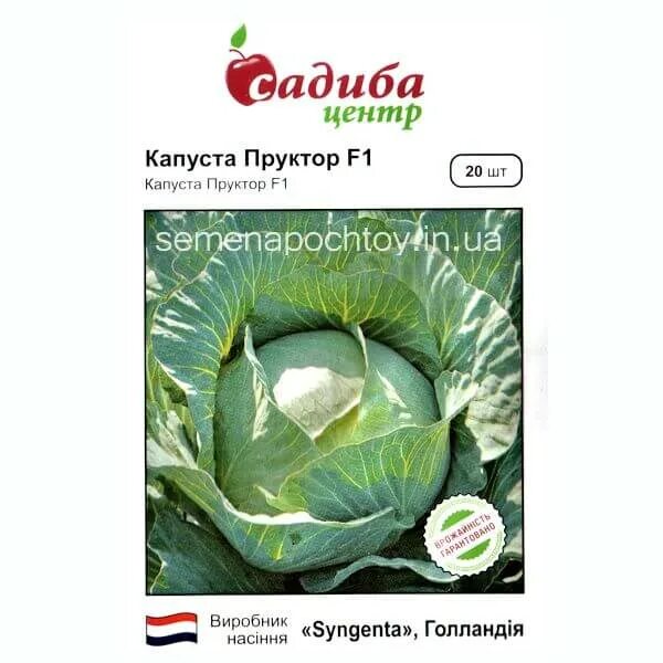 Капуста пруктор описание сорта фото отзывы Белокочанная капуста ПРУКТОР F1 Syngenta 20 семян