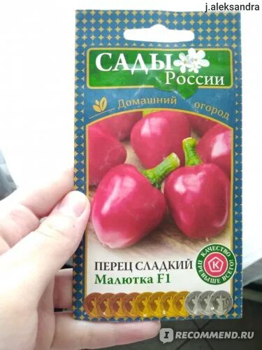 Капуста пудовая описание сорта фото отзывы www.sad-i-ogorod.ru - "Сады России" - "Пудовая капуста, метровая тыква, килограм