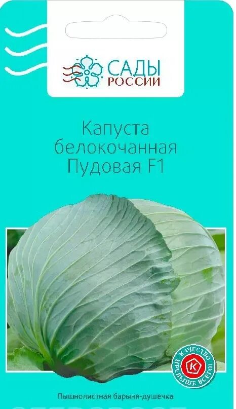 Капуста пудовая описание сорта фото отзывы Капуста бк Пудовая 16шт