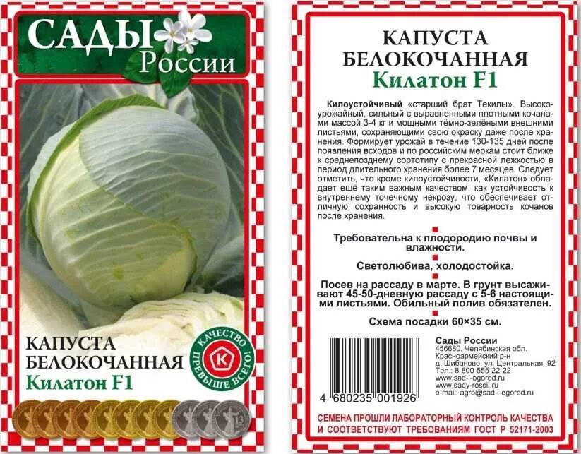 Капуста пудовая описание сорта фото отзывы Капуста Килатон - описание сорта, фото, отзывы