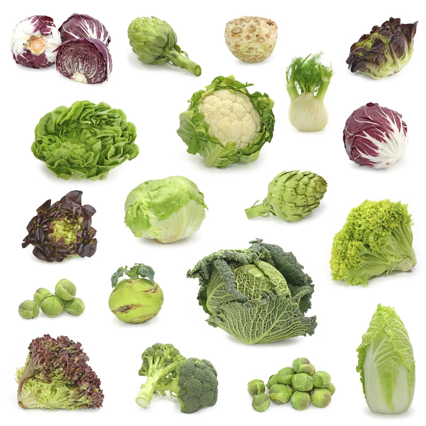 Капуста разная названия с фото cruciferous-vegetables - Lakewinds Food Co-op