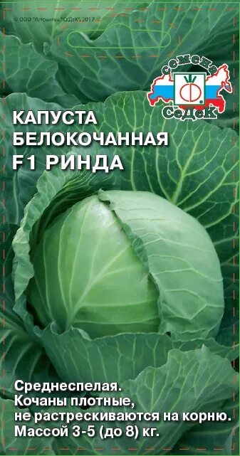 Капуста ринда f1 описание сорта фото отзывы Купить Капуста белокочанная Ринда F1 10шт (Седек) в АФ "Сибирский сад"