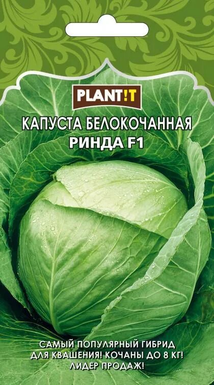 Капуста ринда описание сорта фото Капуста Ринда б/к Plantit